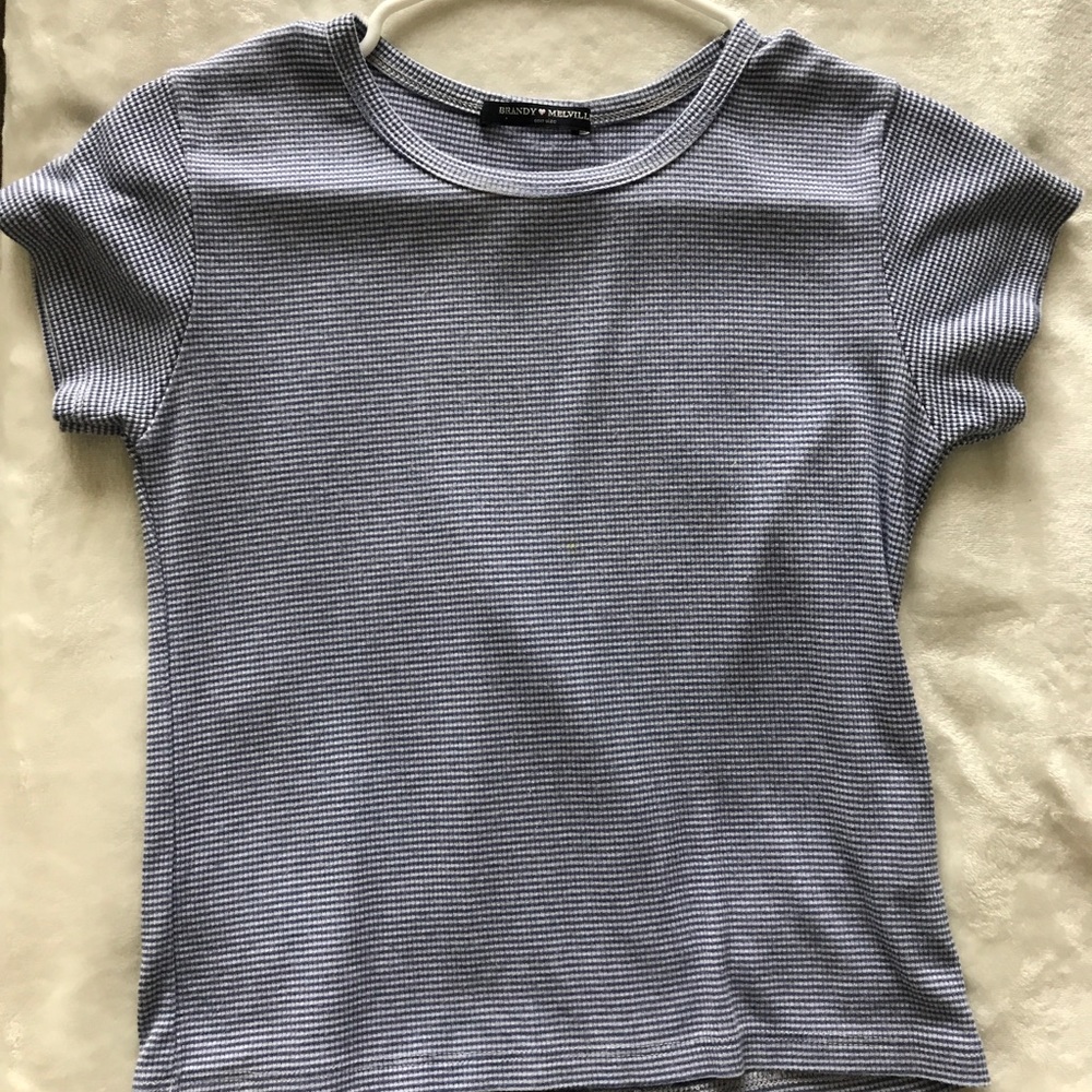 Brandy Melville blue gingham tee